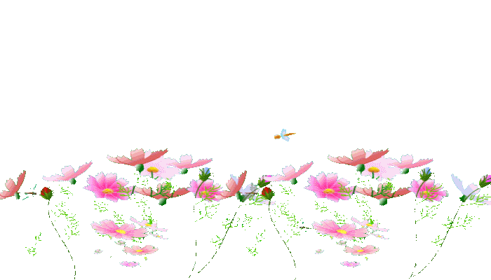 十六字令·花
