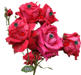 十六字令·花(图2)