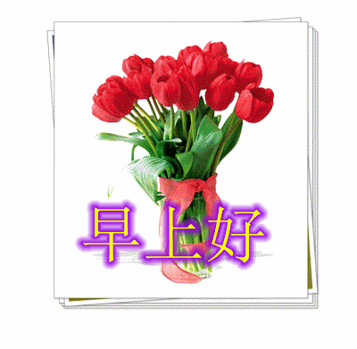 轻轻一声问好