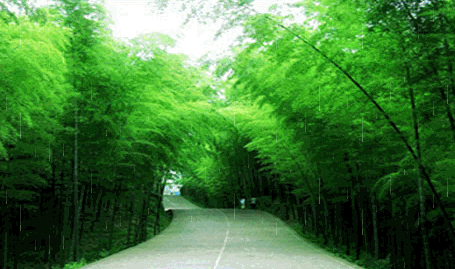 谢池春 春期