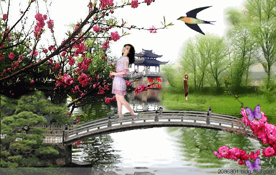 我打春天里走过(图7)
