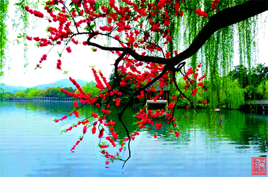 春天的诗(图4)