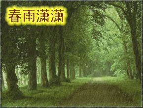 章台柳一组·春雨潇潇