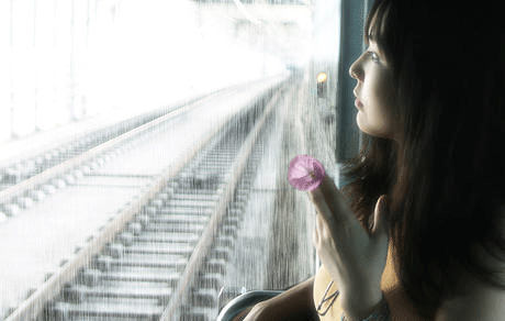 章台柳一组·春雨潇潇(图2)