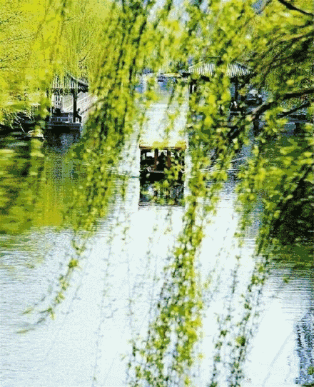 春天的絮语