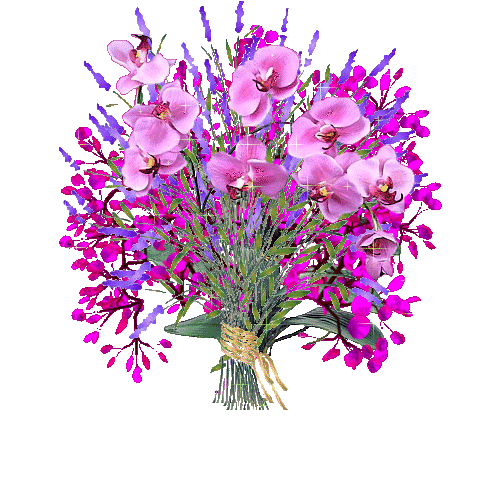 春 花 烂 漫(图4)