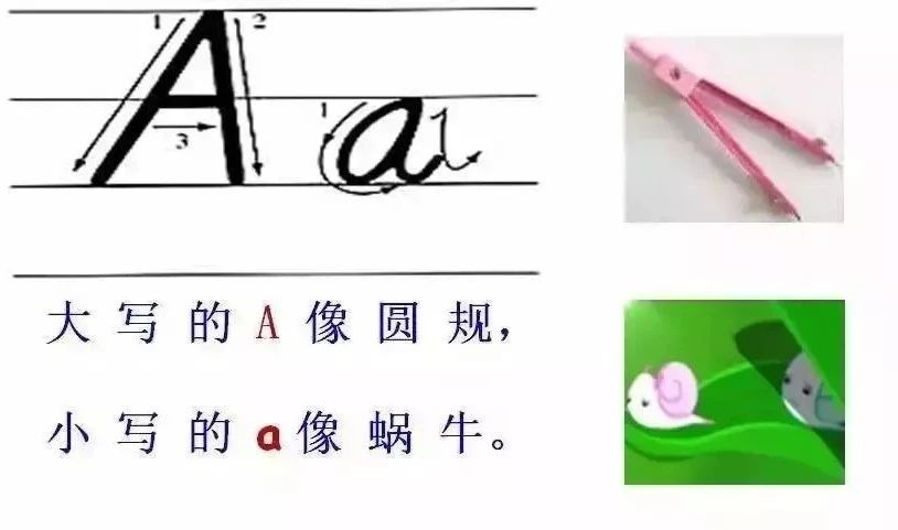 1554416844836073055.png image.png