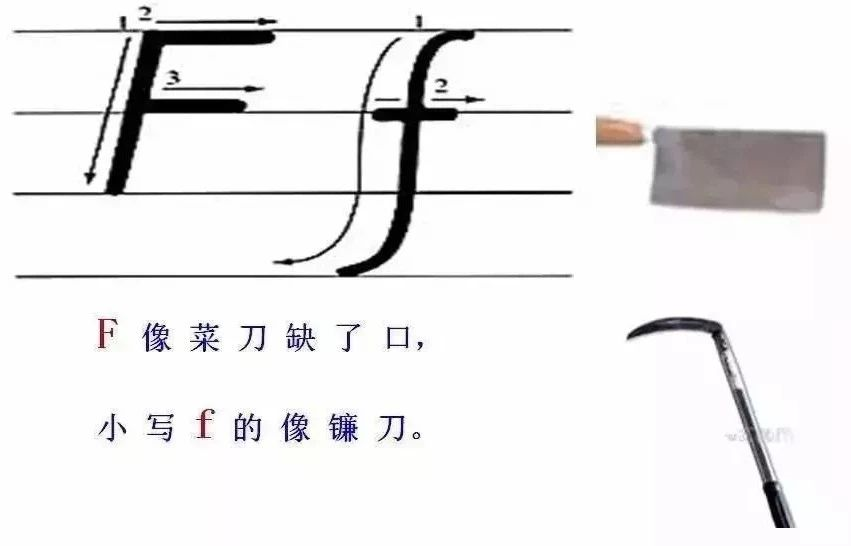 1554416989022077359.png image.png