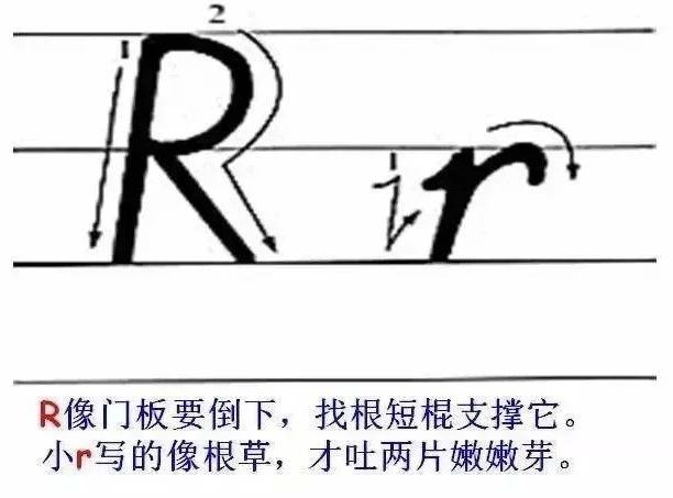1554417202165002728.png image.png