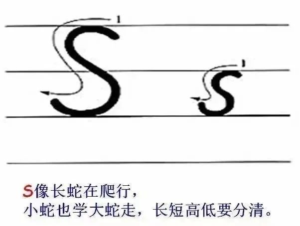 1554417211249021738.png image.png