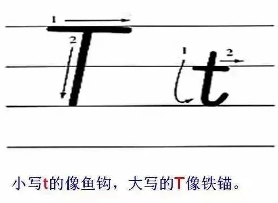 1554417225226082565.png image.png