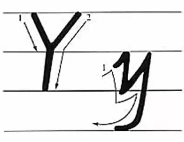 1554417275116085096.png image.png