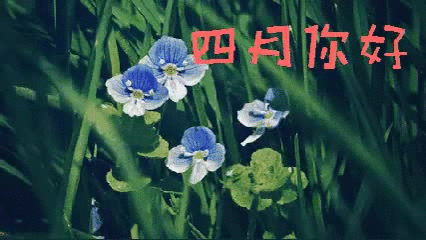 四月，你好