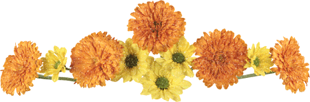 清明节寄哀思（图3）