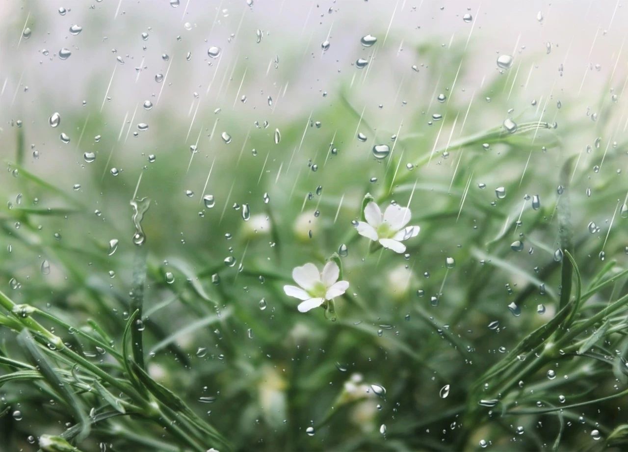 最怕春雨敲窗(图2)