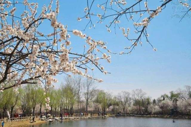 人间四月(组诗)（图2）