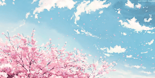 四月 看桃花玉兰竞芬芳