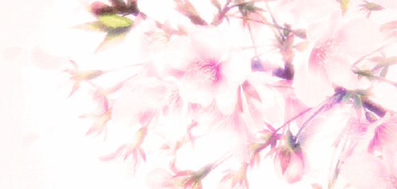 桃花谢了