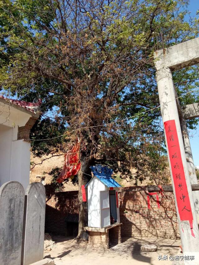 洛宁李念东——大钟寺轶事(图3)