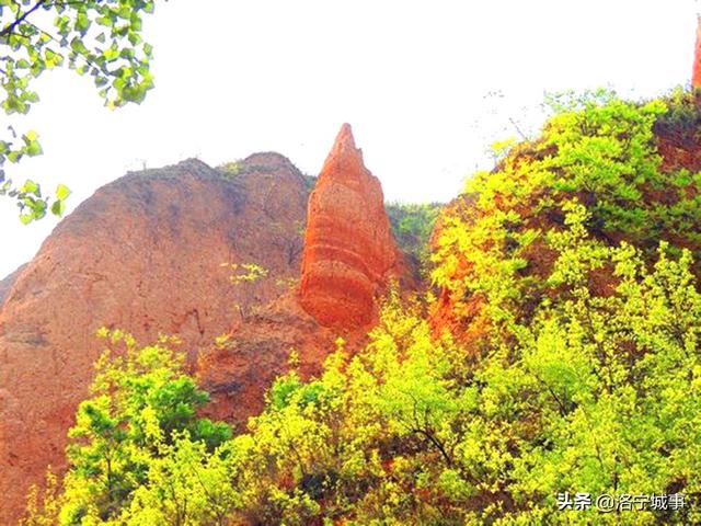 洛宁李念东——大钟寺轶事(图7)