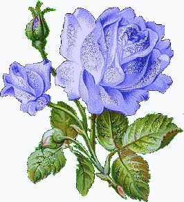 诗歌的心声 文/茗·溪 诵/连伟（图4）