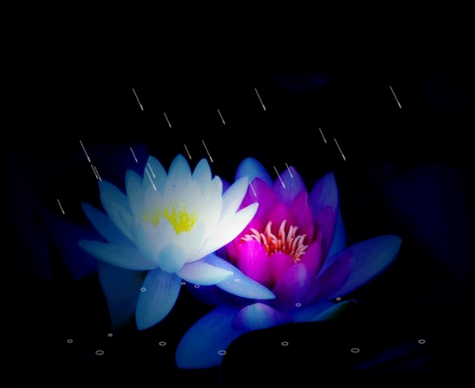 从来都没有想过 文/司马夙慧 诵/桃子(图2)