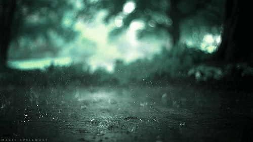 缠绵的夏雨 文/张殿军(内蒙)诵/李青春