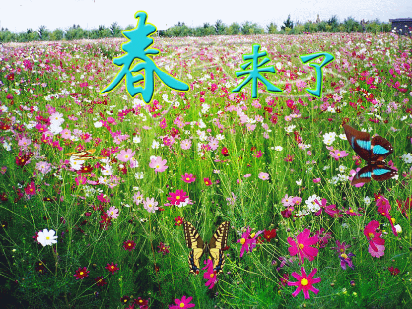 与春有关 文/黑岩 诵/袁嘉敏