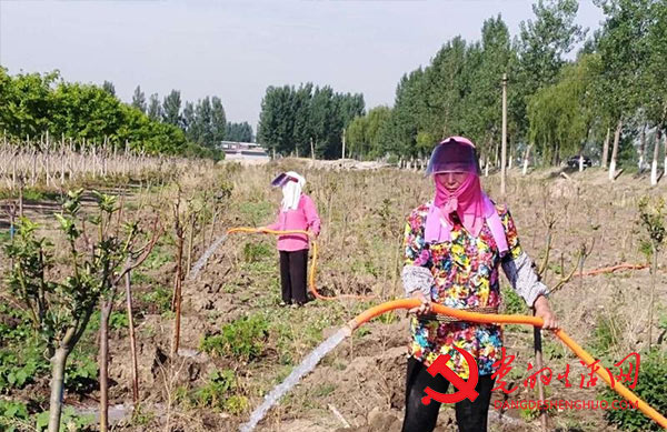 宝丰县林业局全力开展抗旱浇水灭草 加强生态廊道林木管护工作 宝丰县林业局全力开展抗旱浇水灭草 加强生态廊道林木管护工作