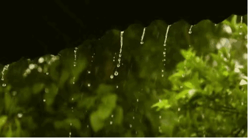 今夜有雨 文/西楼 诵/爱玲（图4）