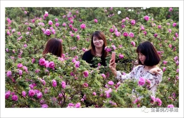 舌尖上的济南平阴名吃,玫瑰梨丸子(图3)