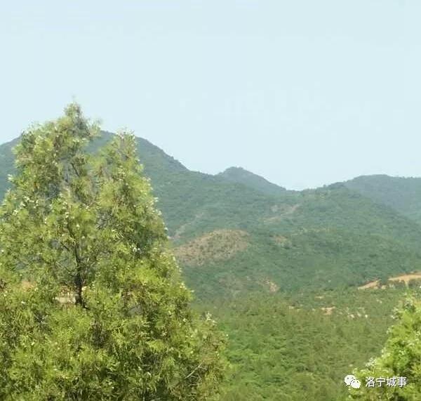 洛宁县长水镇二郎山（图3）