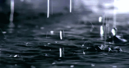 ​昨夜，雨下个不停 文/王明雪(雪歌) 诵/袁嘉敏（图3）