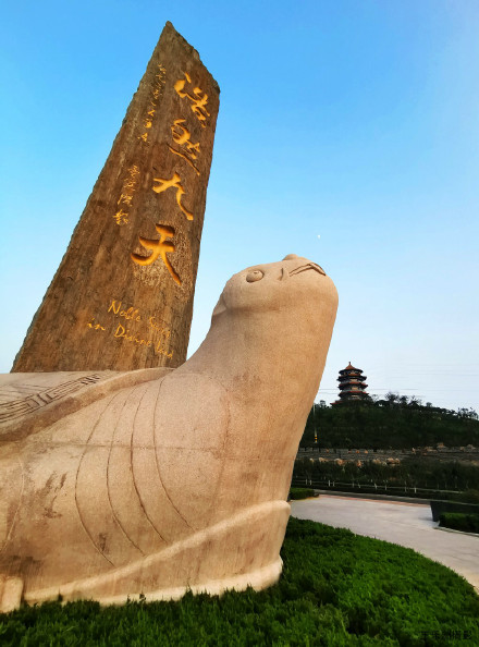 山东黄河玫瑰湖国家湿地公园.闲游闲拍新角度(手机版)---王乐洲摄