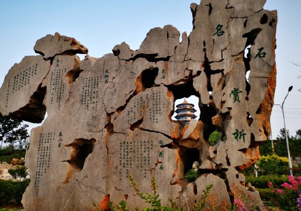 山东黄河玫瑰湖国家湿地公园.闲游闲拍新角度(手机版)---王乐洲摄