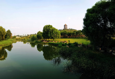 山东黄河玫瑰湖国家湿地公园.闲游闲拍新角度(手机版)---王乐洲摄