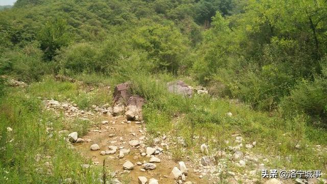 洛宁城事雷冰——连宝河探奇(图5)