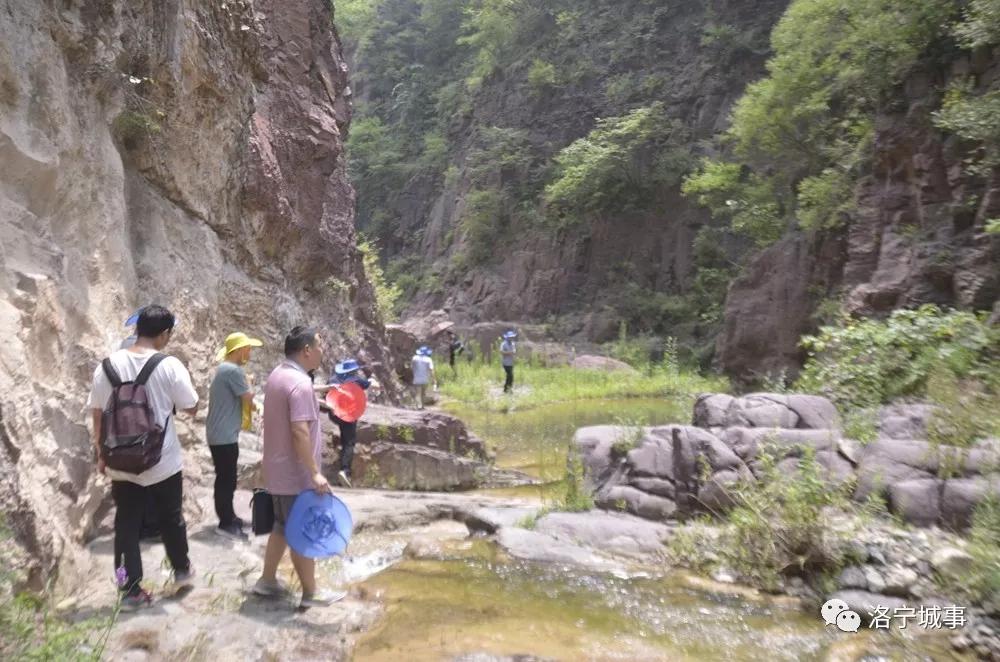 洛宁程志民——感受原生态 畅游连宝河(图14)