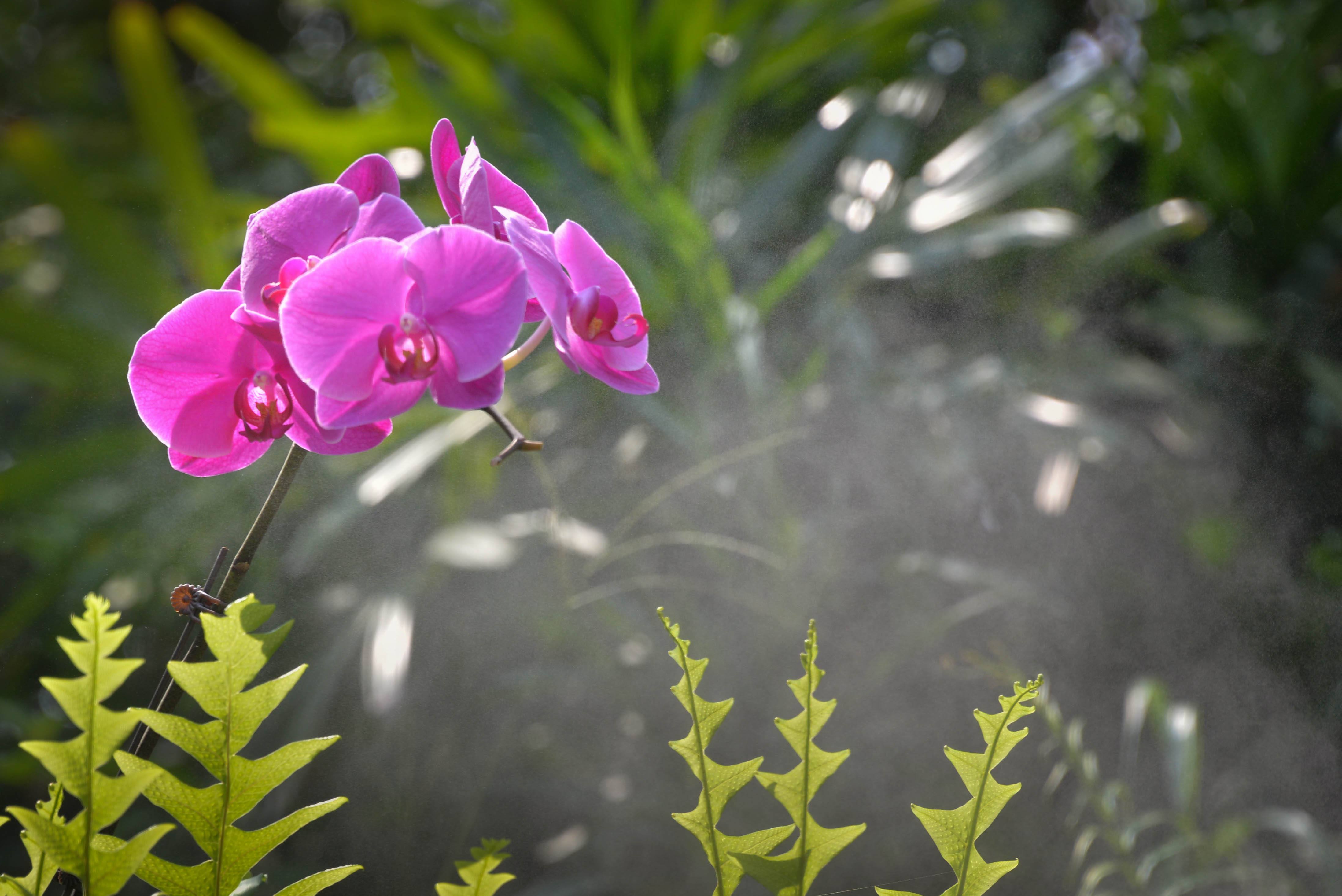 西楼文苑网络文化传媒为您推送最新现代诗专辑2/8/2019（图3）