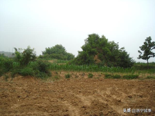 洛宁程卫东：赵翥轶事——试探学问