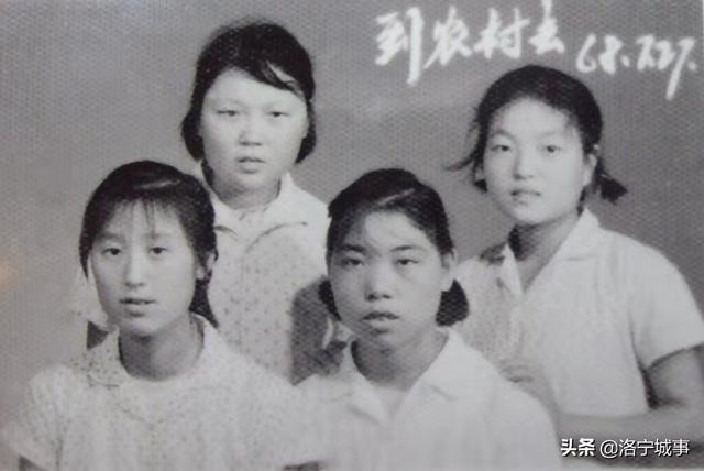 洛宁马生彩:永远的思念——忆偃师高中六七二班学友师长(图3)