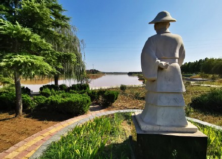 鲁西黄河黄绿篮..东阿黄河国家森林公园实录--王乐洲摄