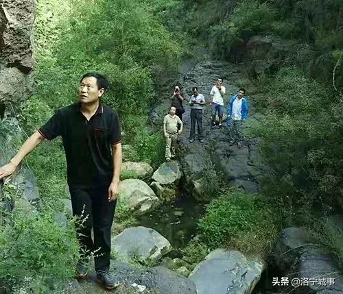 洛宁杨青显——连宝河谷荆花香(图3)