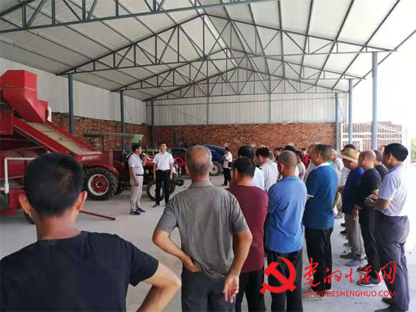 宝丰县肖旗乡：花生产业显成效 助力脱贫促增收