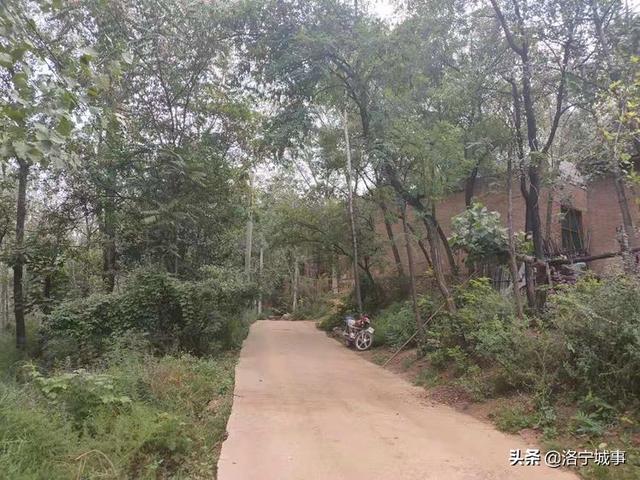 探寻洛宁县陈吴乡金门竹韵古文化遗迹