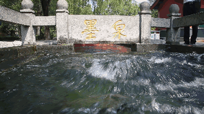 布建忠(小布丁):济南名泉 墨泉(图2)
