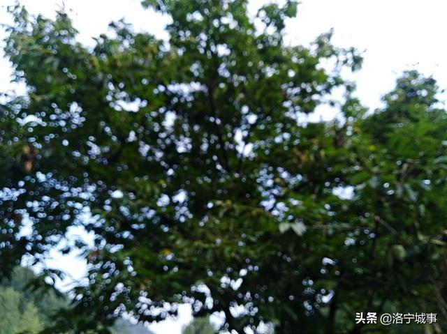 洛宁程志民——马营山游记（图3）