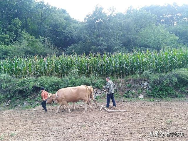 洛宁程志民——马营山游记（图4）