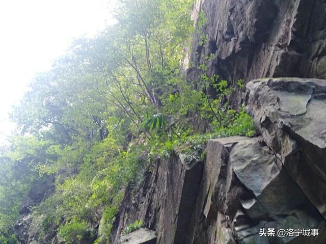 洛宁程志民——马营山游记（图8）