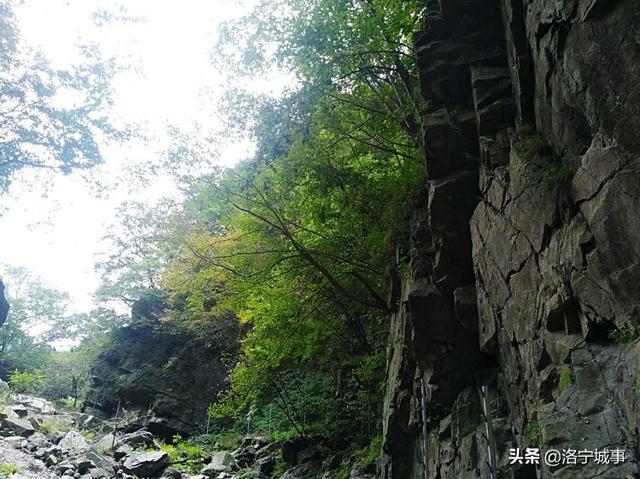 洛宁程志民——马营山游记（图11）